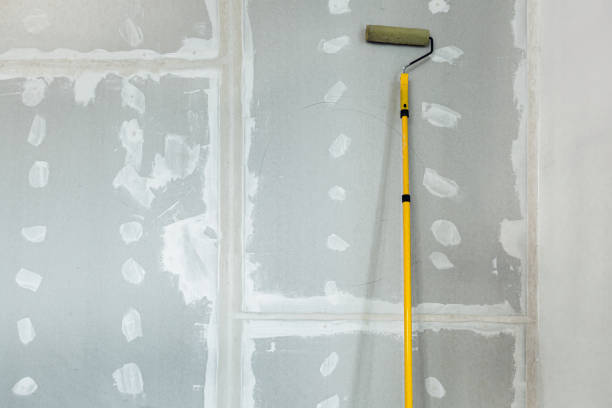 Best Residential Mold Inspection & Testing  in Rafter J Ranch, WY