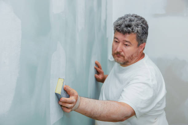 Best Black Mold Removal  in Rafter J Ranch, WY