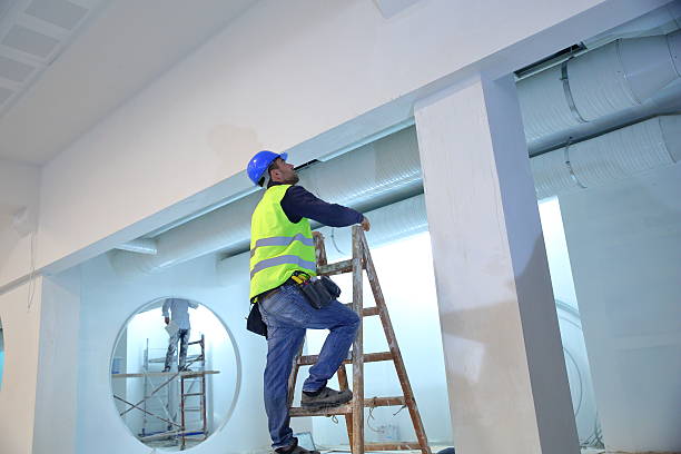 Best Mold Odor Removal Services  in Rafter J Ranch, WY