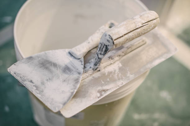 Best Real Estate Mold Inspection  in Rafter J Ranch, WY